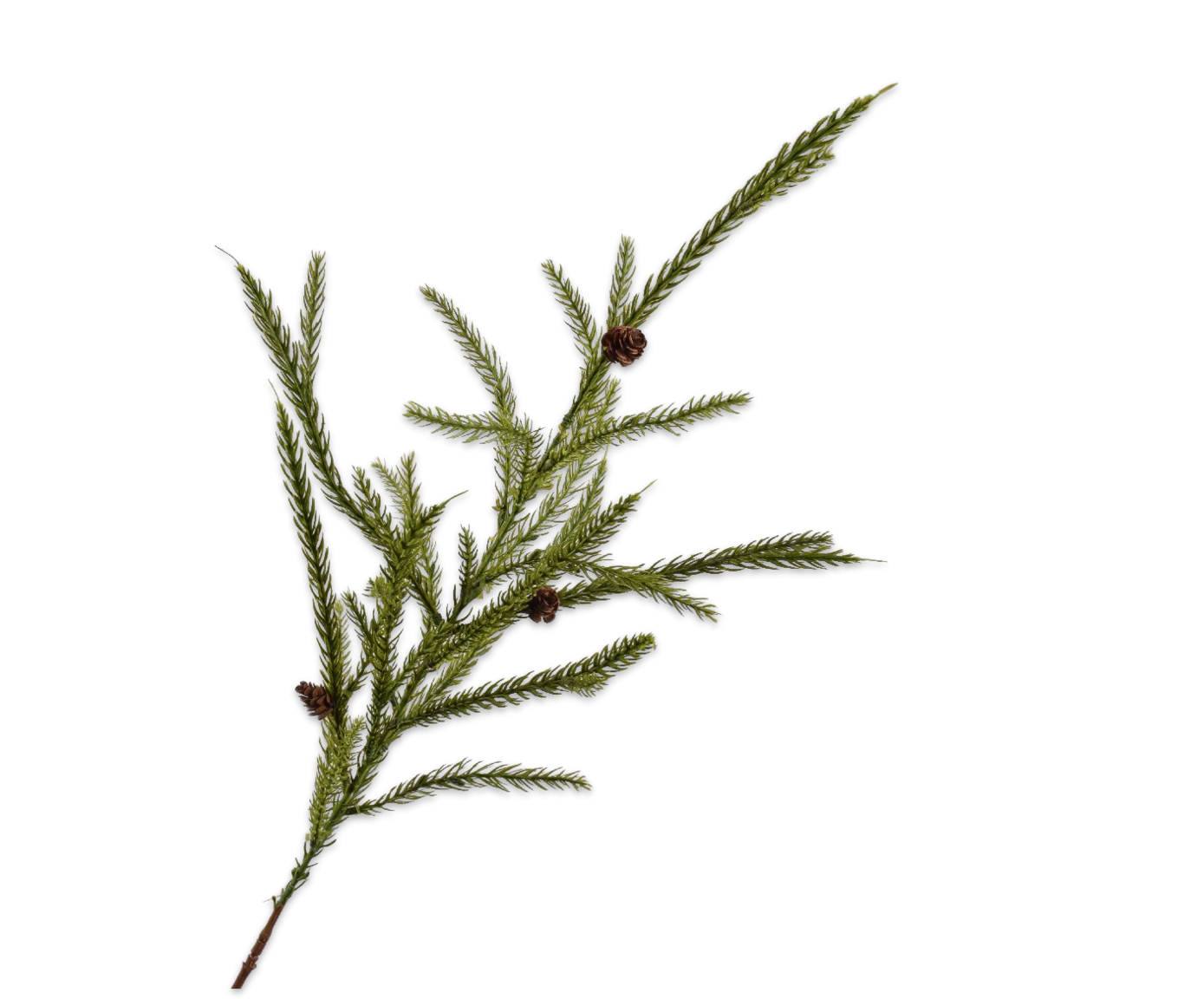  Silkka Flower Coniferous Pine Green 