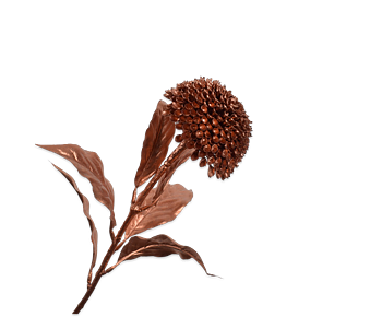 Silkka Flower Zinnia Copper