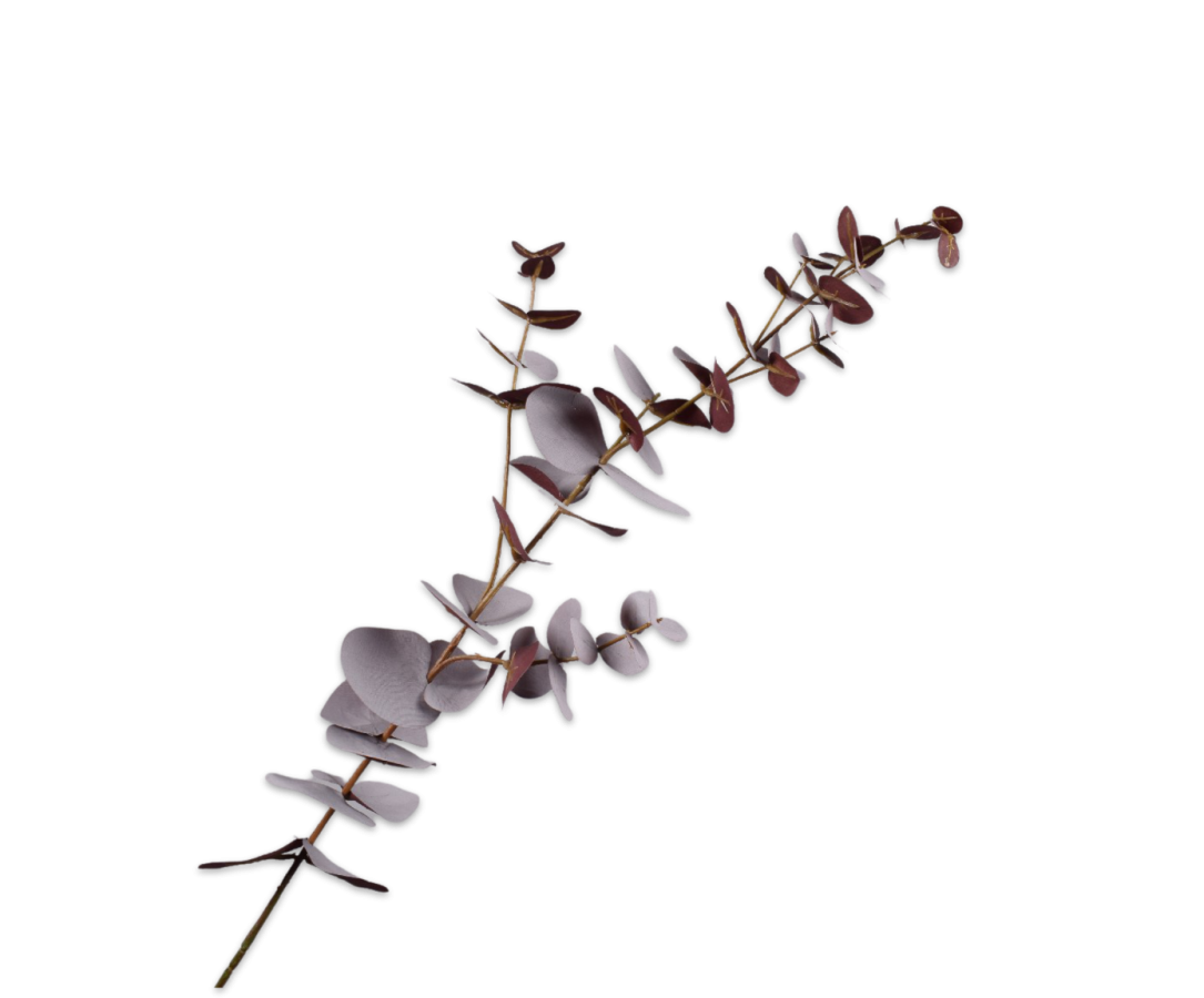 Silkka Flower Eucalyptus Brown 75 cm