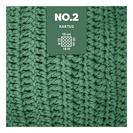 No.2 Cactus