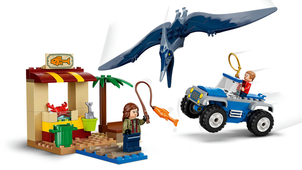 76943 Pteranodonjakt - 4