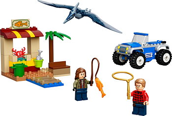 76943 Pteranodonjakt