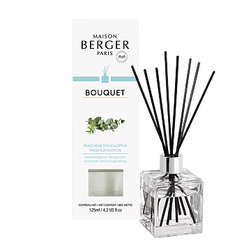 Maison Berger Diffuser Fresh Eucalyptus