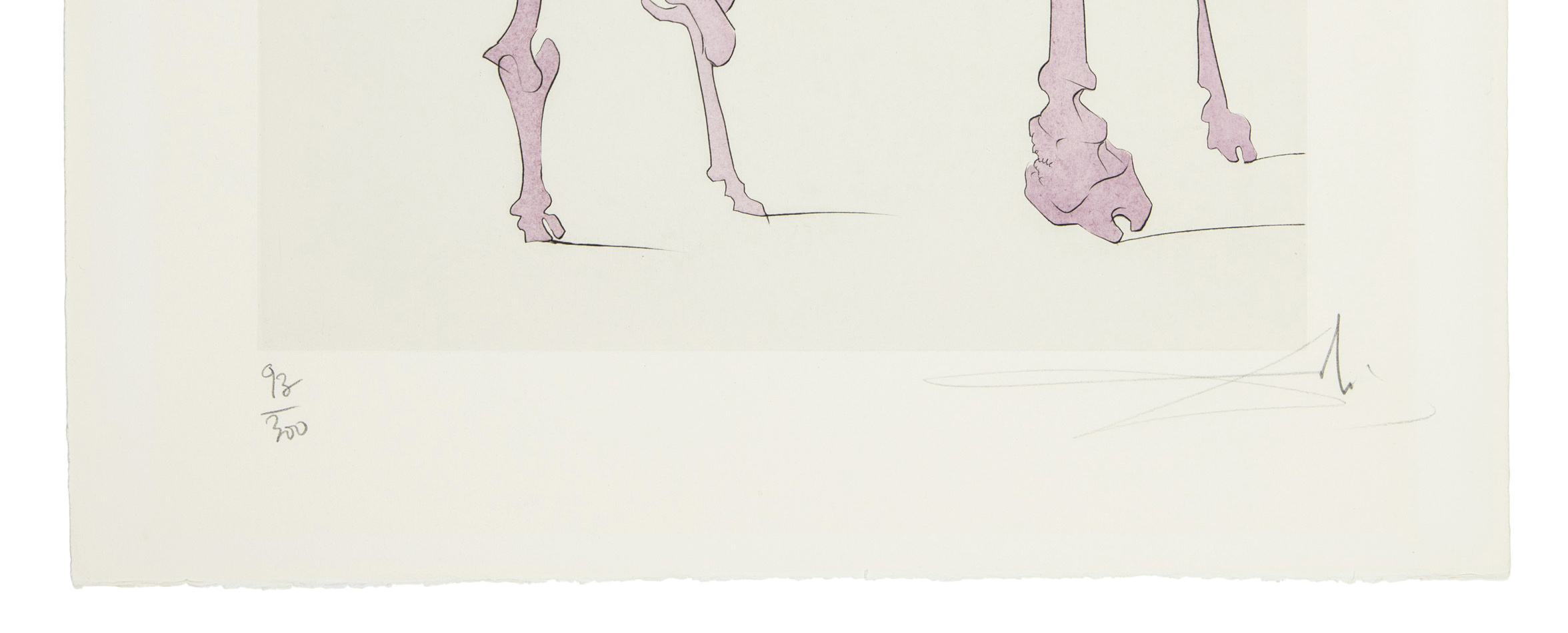 Cheval en rose - Quevedo's Visions - 3