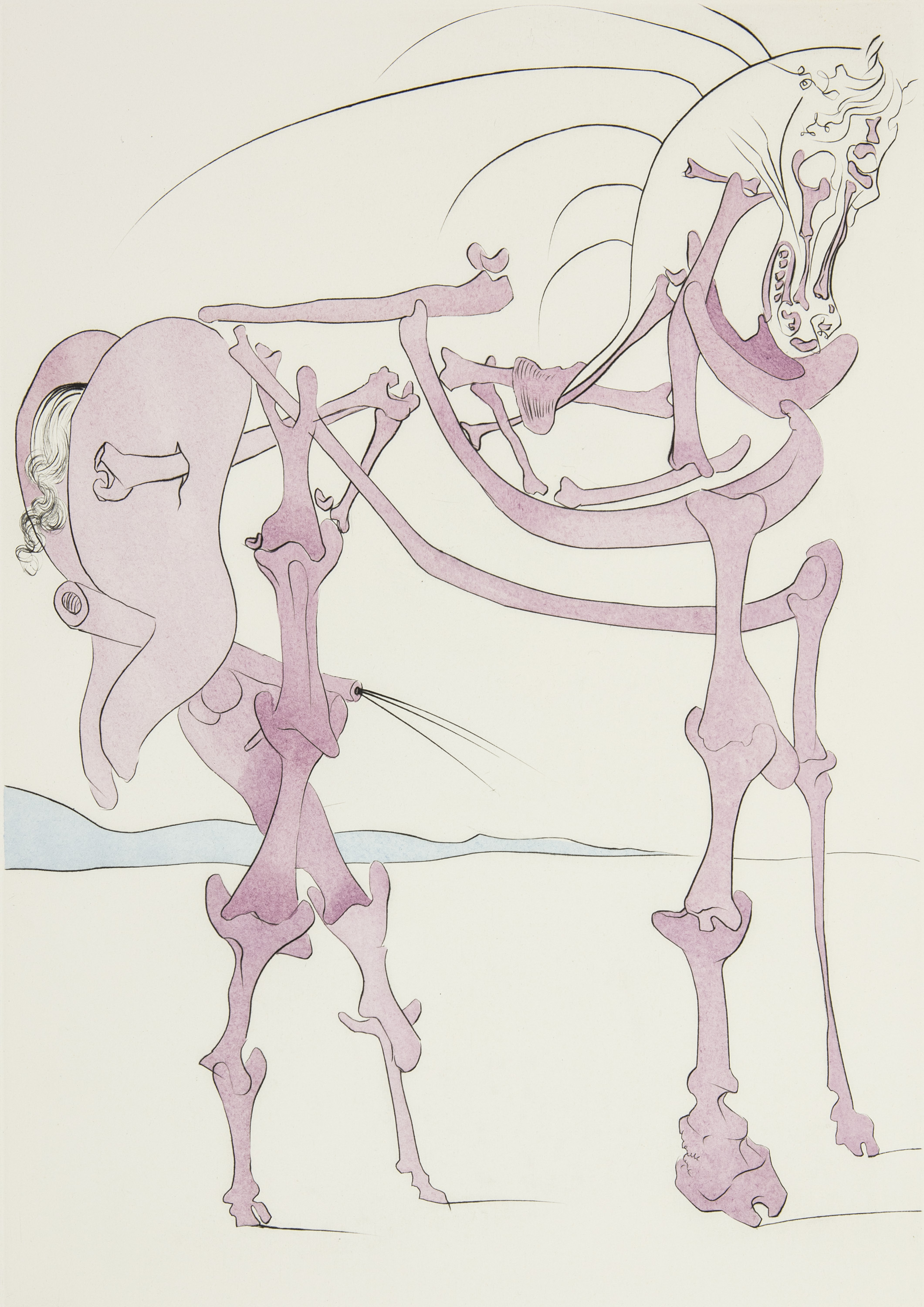 Cheval en rose - Quevedo's Visions - 2