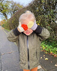 Vesterhavsvantar Junior - Mönster