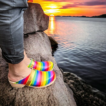 Pride Clogs Walk of Pride Stolz
