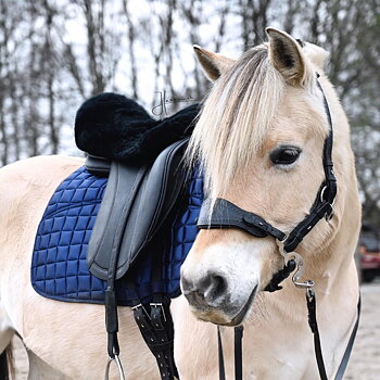 EDIX® Seatsaver  (dressage, iceland, VS), genuine Merino wool, black