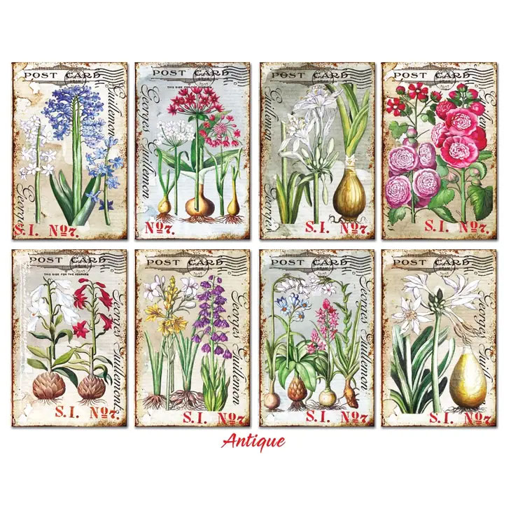 Scrapbooking bilder - Antique