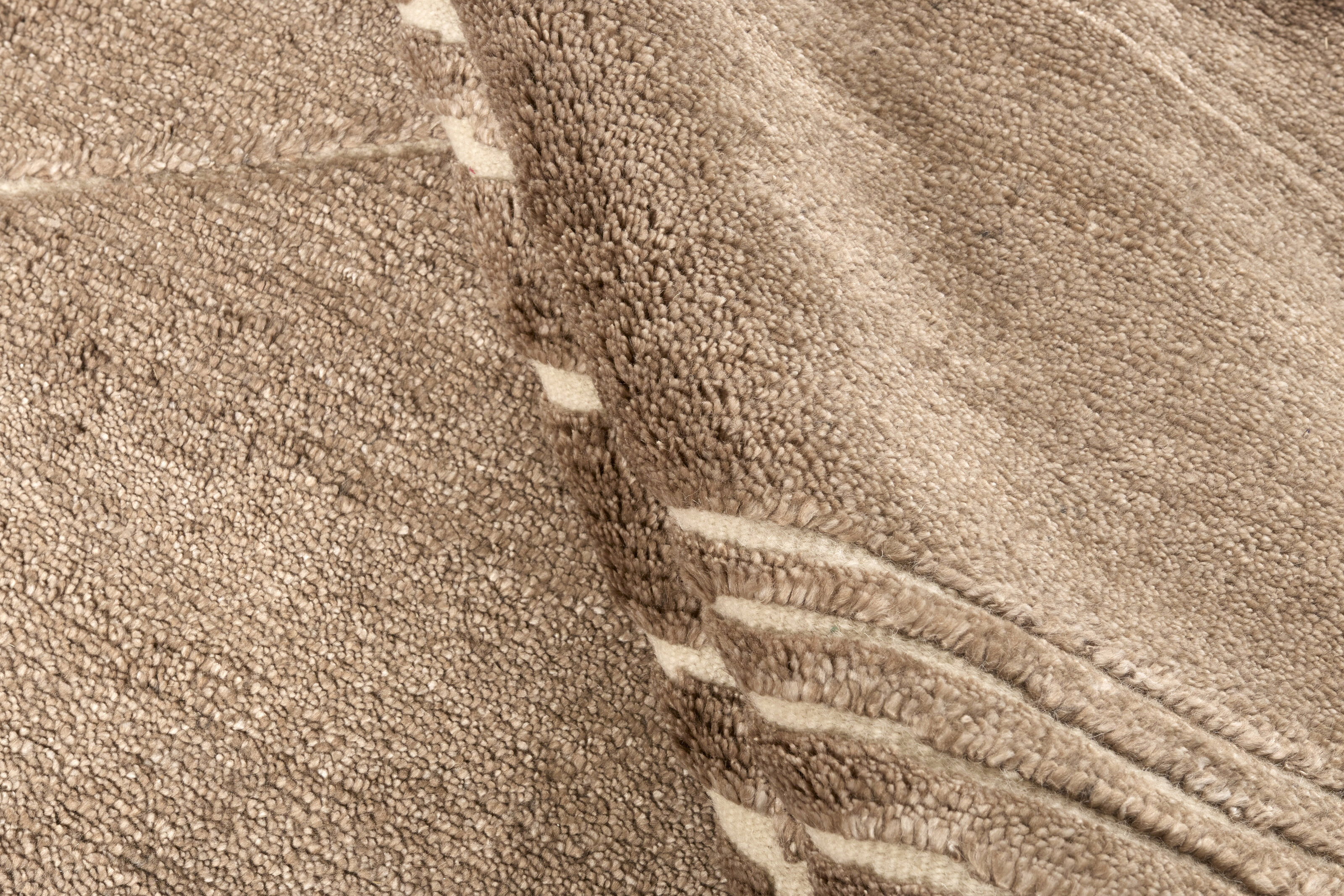 Landscape Fields Brown - 6