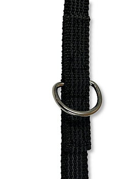 Ring på kopplet