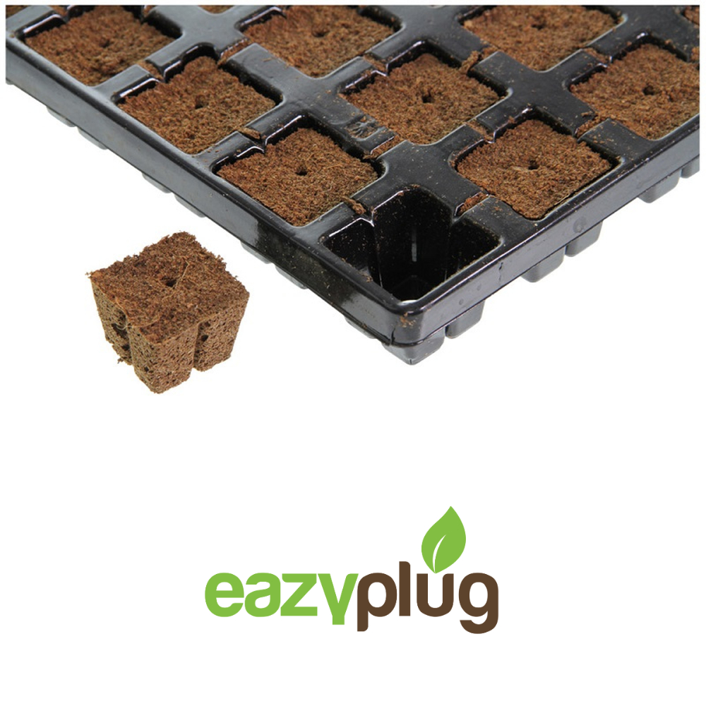   Eazy Plug organic 3,5cm x 3,5cm CT77 odlingskubsbricka - 2