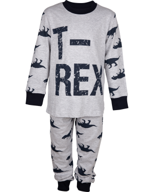 Pyjamas dinosaurier