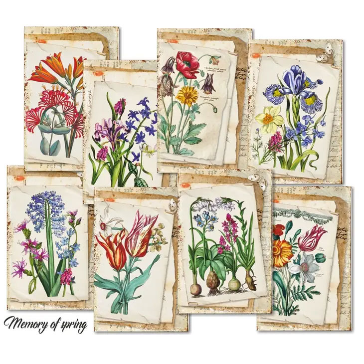 Scrapbooking bilder - Memory of spring