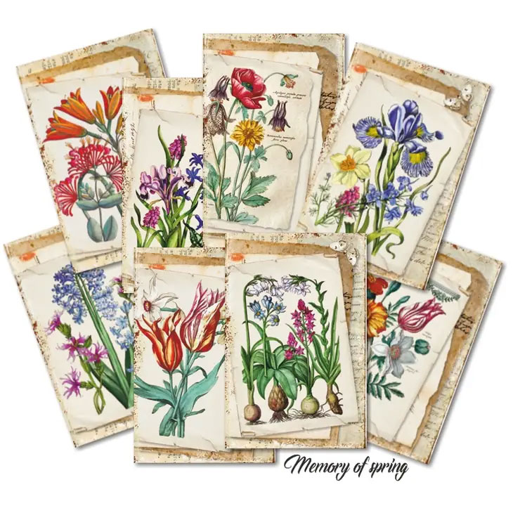 Scrapbooking bilder - Memory of spring