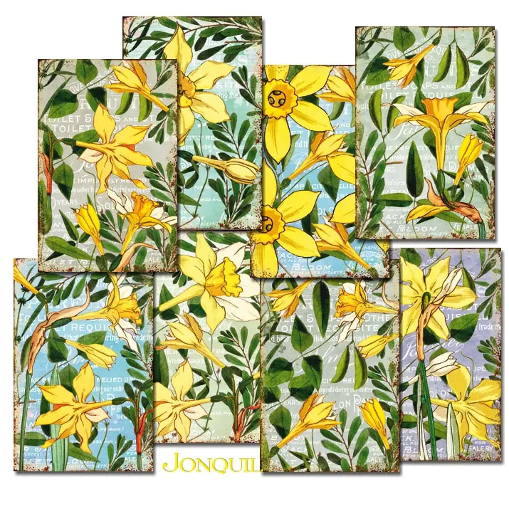 Scrapbooking bilder - Jonquil