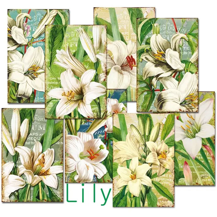 Scrapbooking bilder - Lily