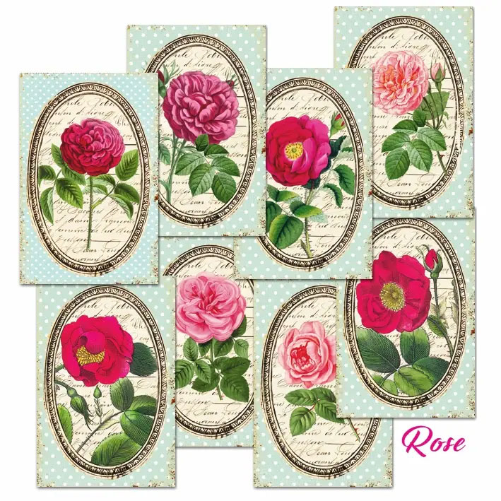 Scrapbooking bilder - Rose
