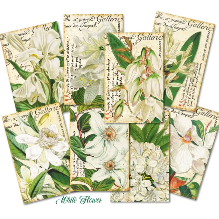 Scrapbooking bilder - White flowers