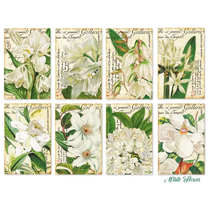Scrapbooking bilder - White flowers