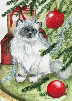 Julkort "Kattens julbus" 