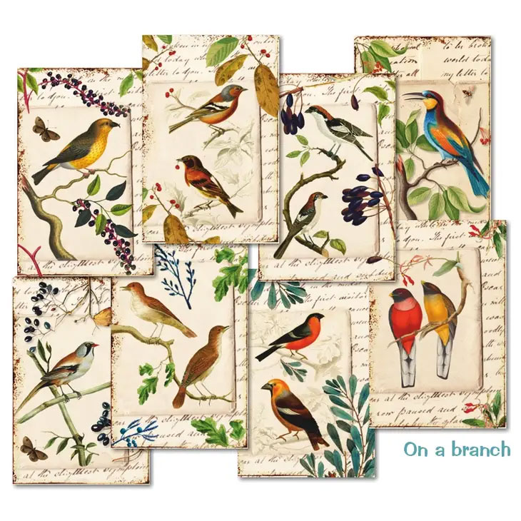 Scrapbooking bilder - On a branch