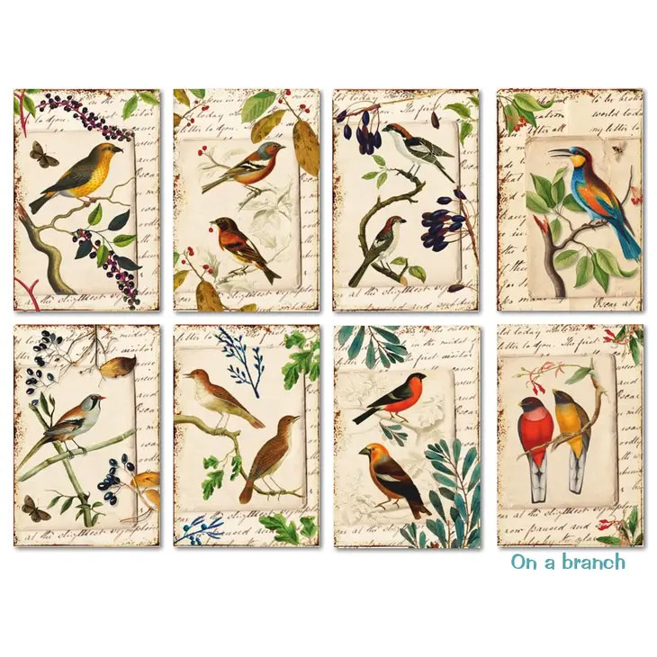 Scrapbooking bilder - On a branch - 2