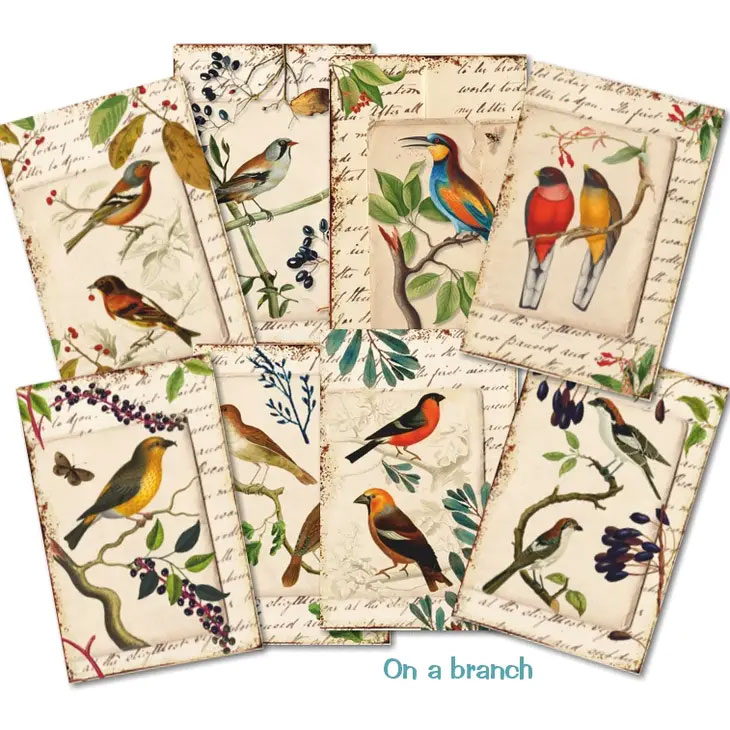 Scrapbooking bilder - On a branch - 3