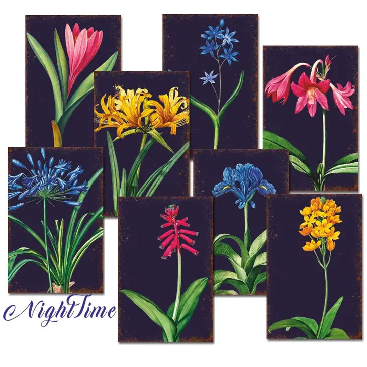 Scrapbooking bilder - Night time