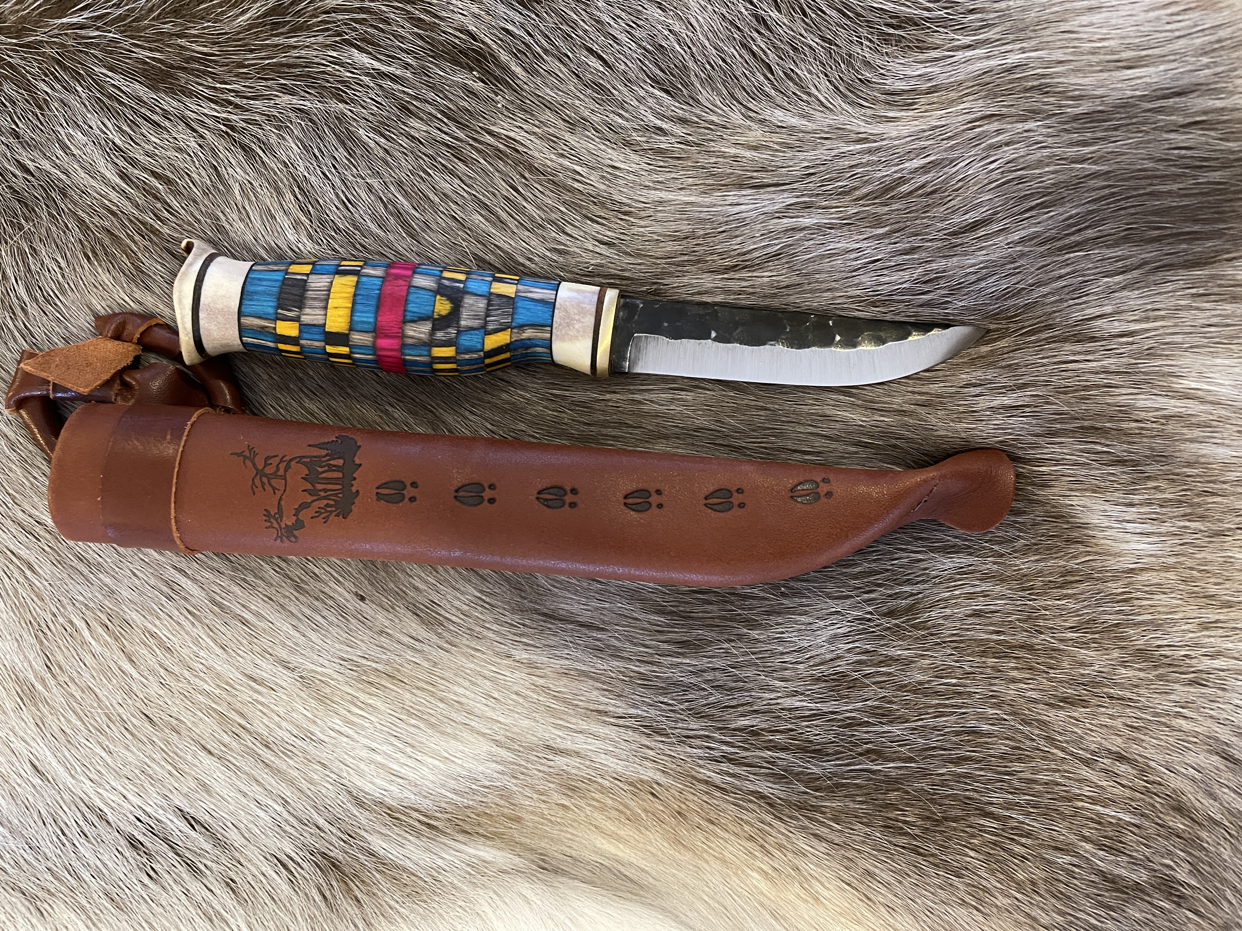 Färg randig kniv - 2