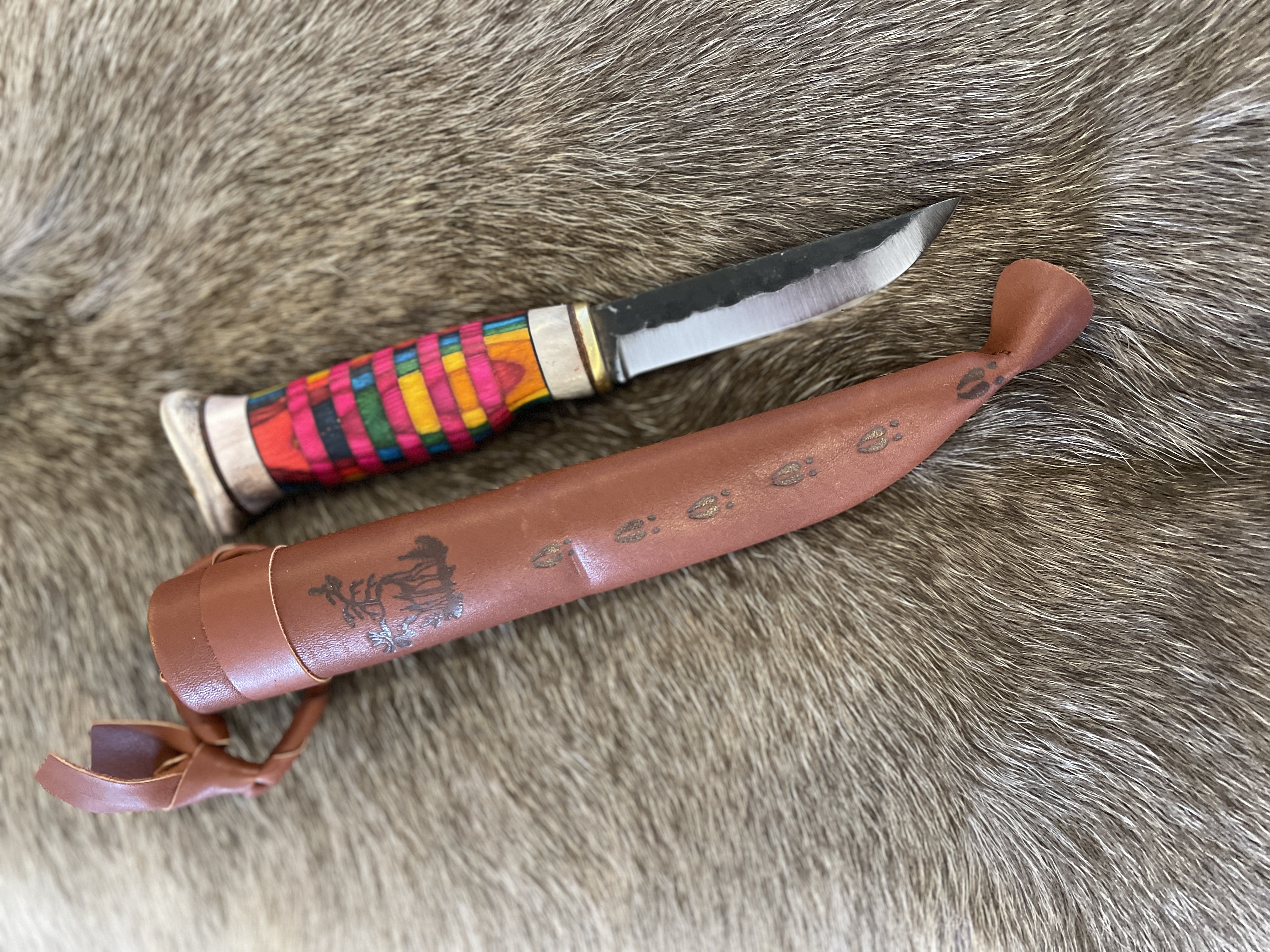 Färg randig kniv - 6