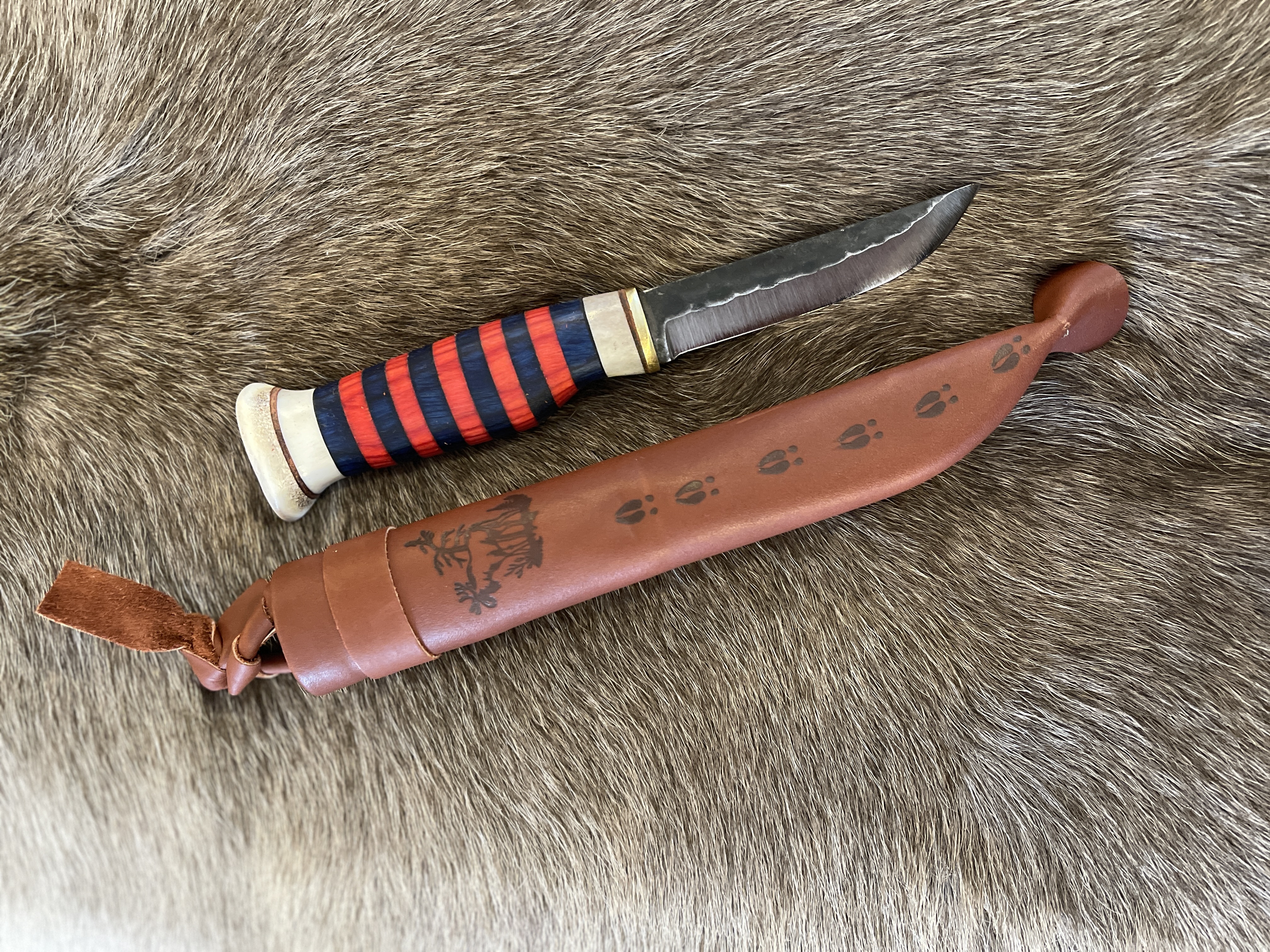 Färg randig kniv - 4