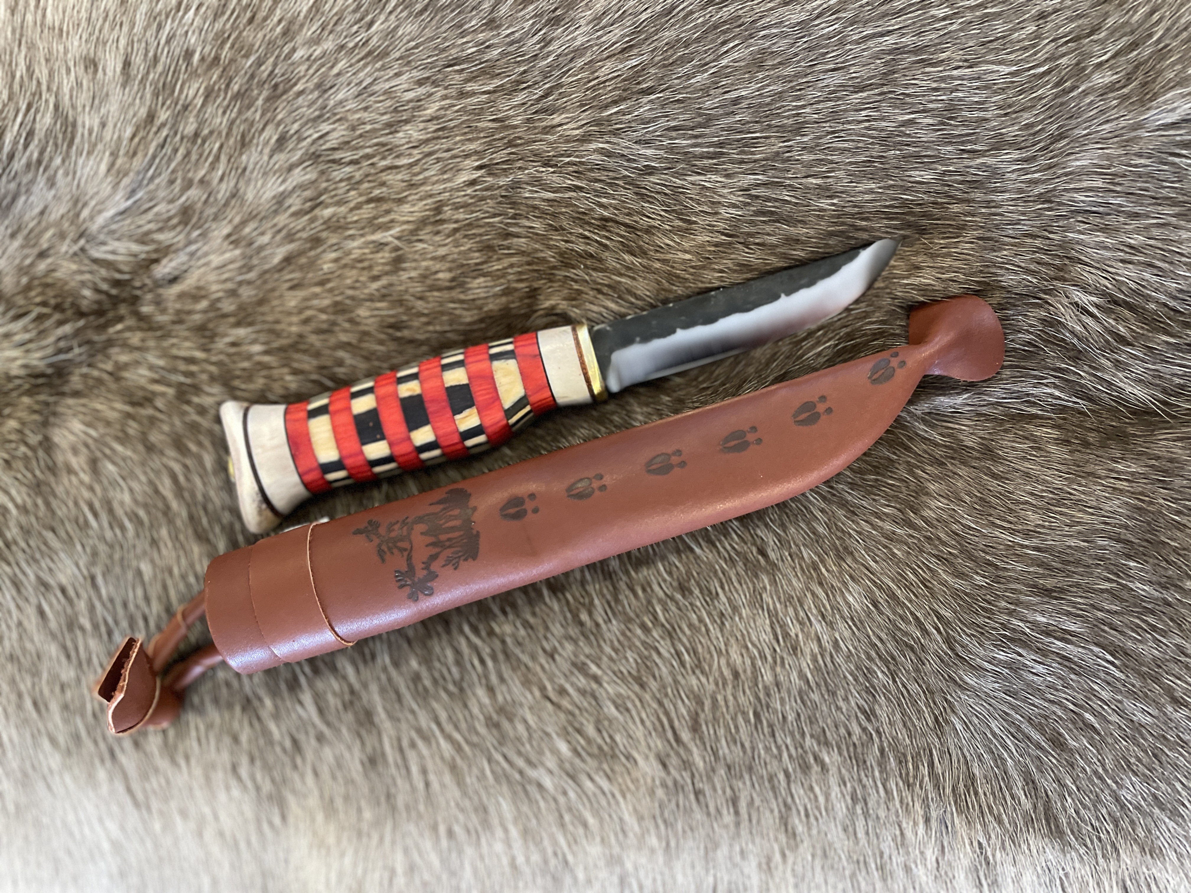 Färg randig kniv - 5