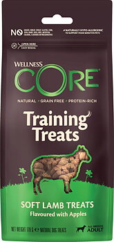 CORE Treeninamit - Lammas/Omena