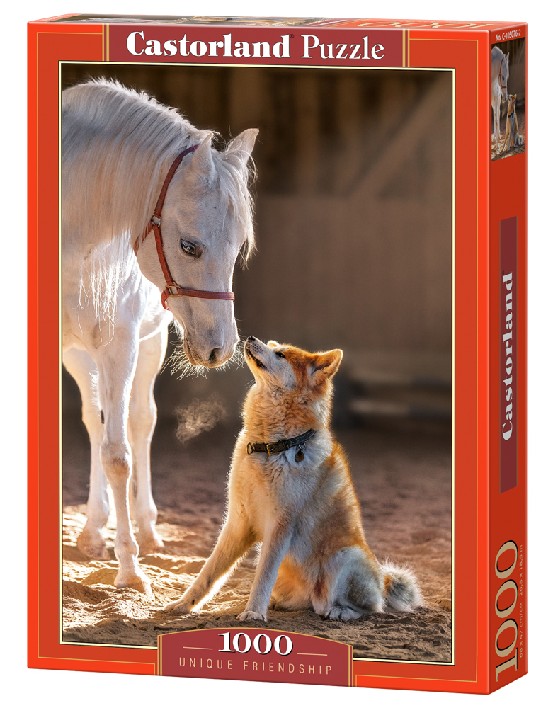 Unique Friendship 1000 Bitar Castorland - 2