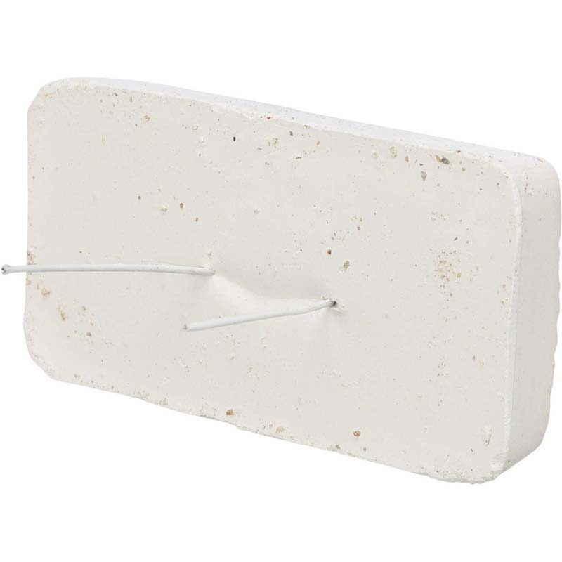 Mineralsten med snäckskal - 3