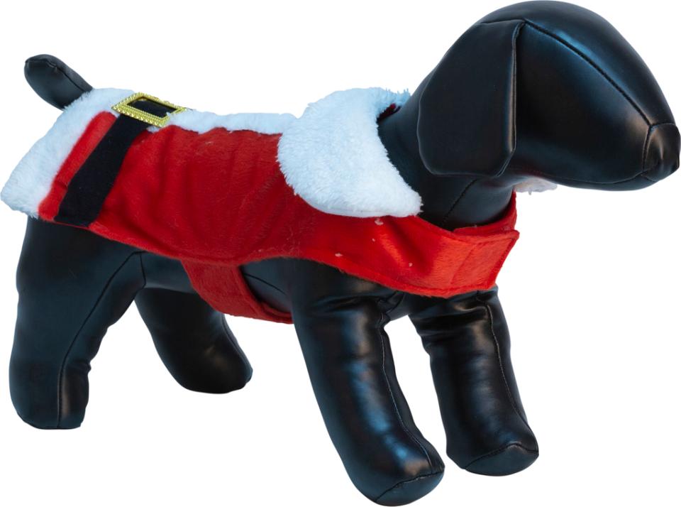 Julkläder till hund