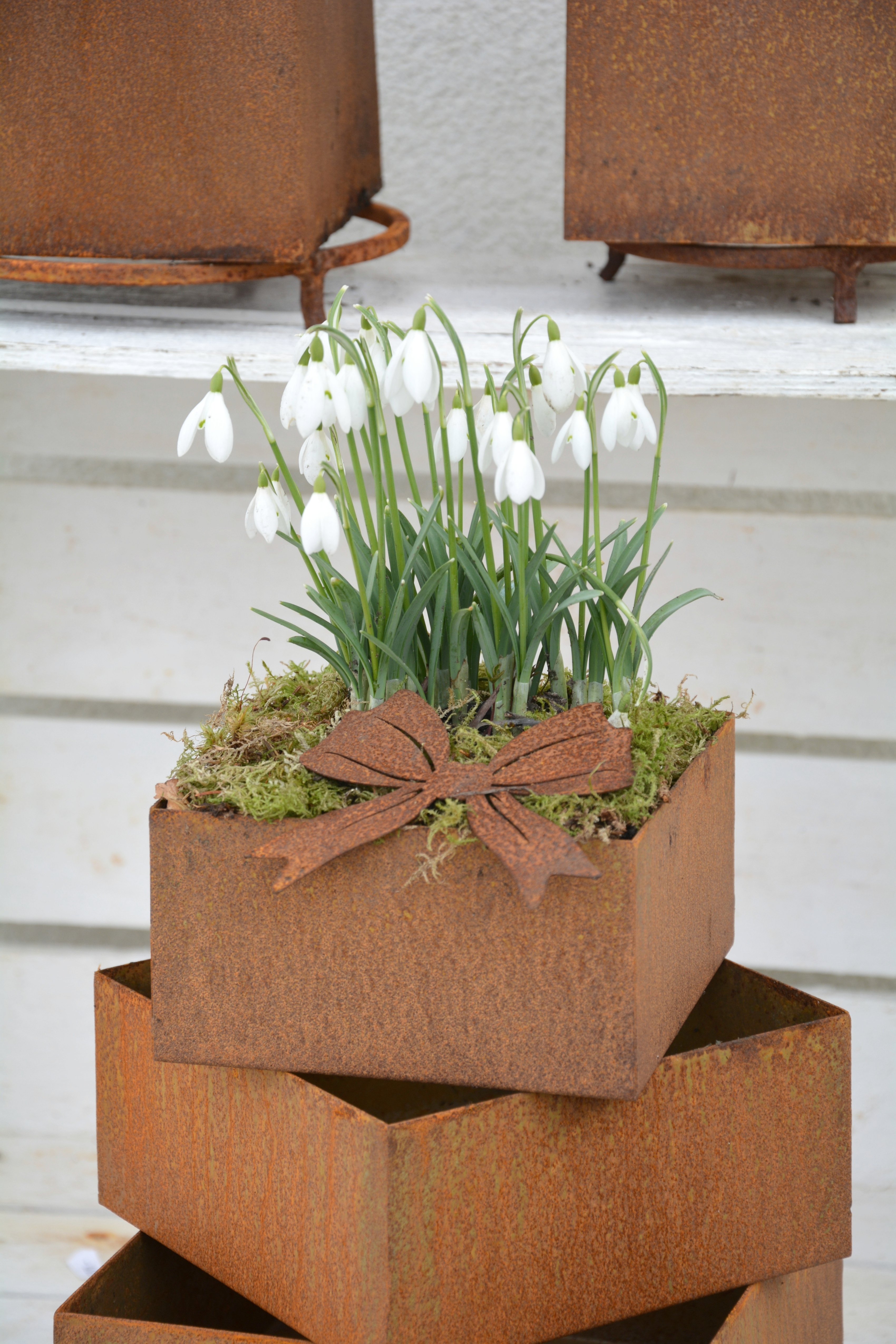 Kruka kvadrat i plåt 15 cm XS