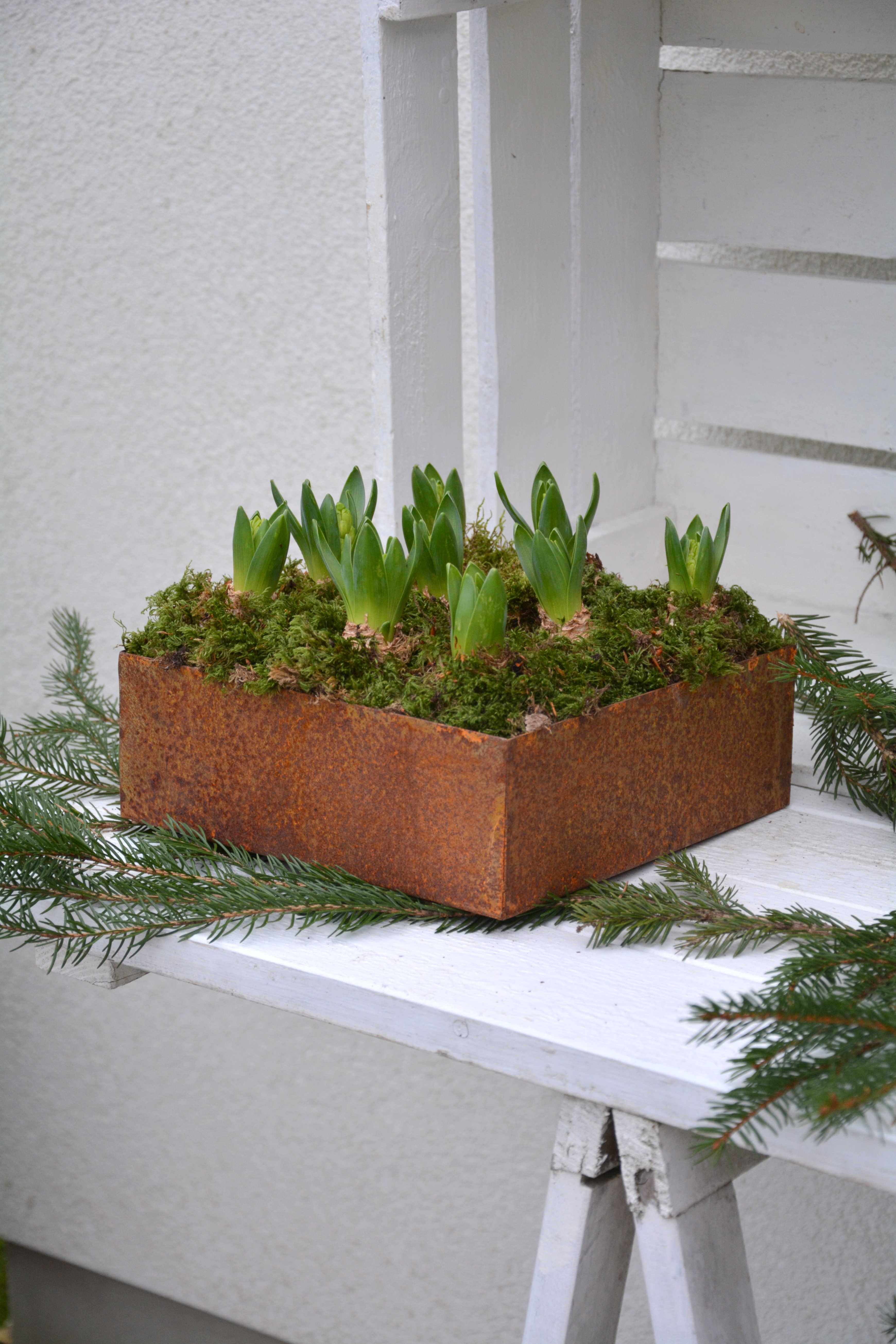 Kruka kvadrat i plåt 25 cm XL