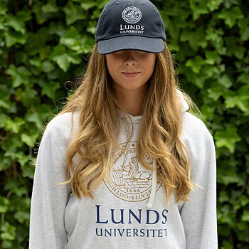 Hoodie Grey with 2 color logo