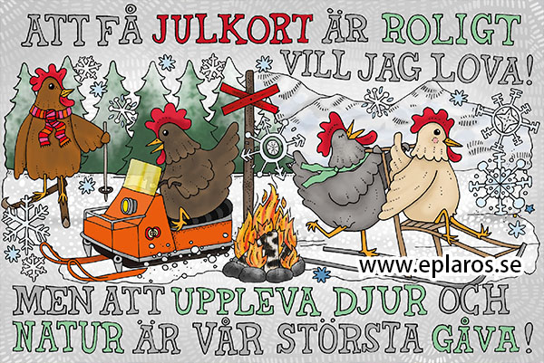 Vykort 10x15 cm Julkort Hönsens julbudskap