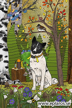 Vykort 10x15 cm Laika på jakt