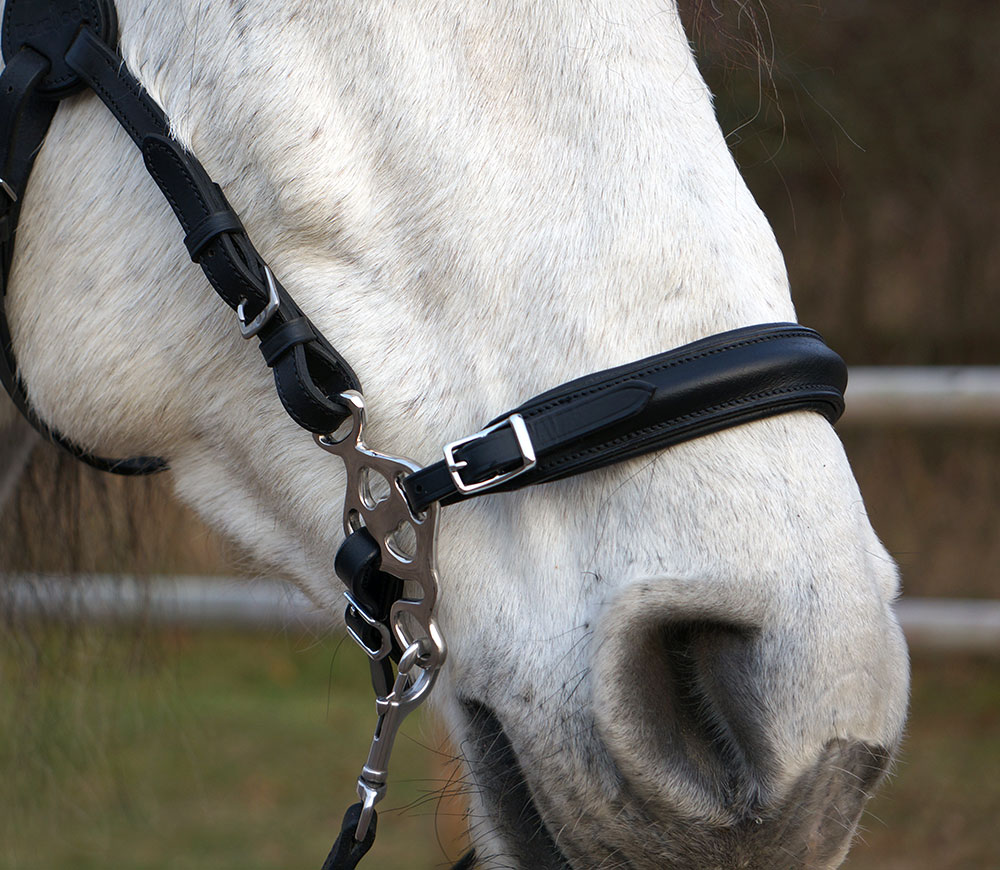 Hackamore nosdel + curbstrap F.R.A® 'Calli' (ponny upp till full) - 6