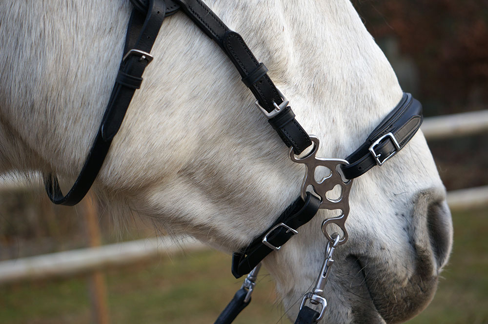 Hackamore nosdel + curbstrap F.R.A® 'Calli' (ponny upp till full) - 5