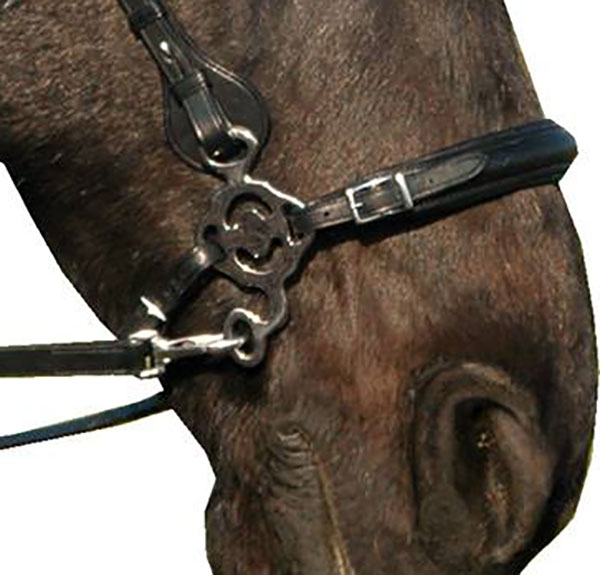 Hackamore nosdel + curbstrap F.R.A® 'Calli' (ponny upp till full) - 7