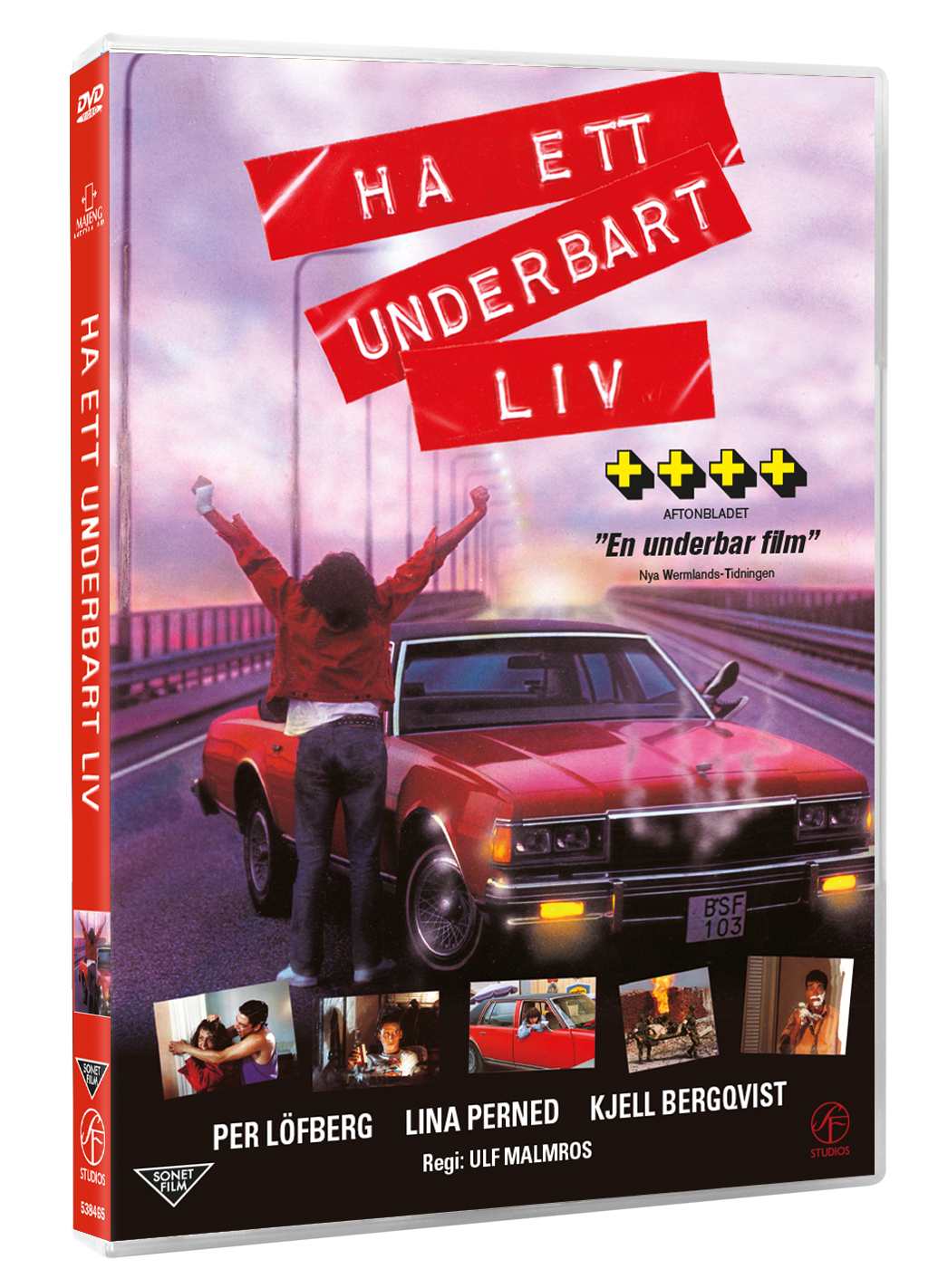 Ha ett underbart liv