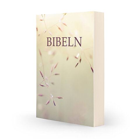 Svenska Folkbibeln 2015  Kompaktbibel äng, mjukpärm