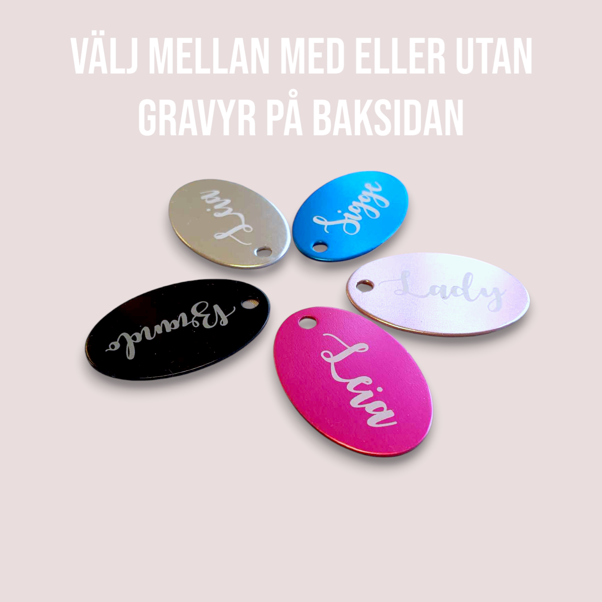 Valfri text 2 sidor Namnbricka i metall till Hund & katt - 6