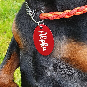 Valfri text 2 sidor Namnbricka i metall till Hund & katt
