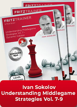 Understanding Middlegame Strategies Vol.7 - 9